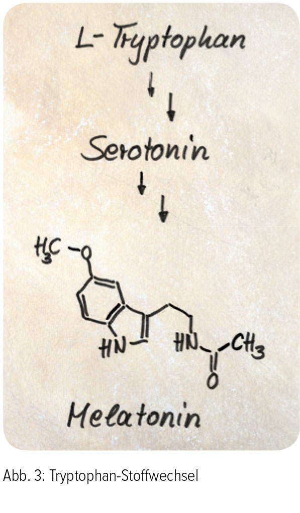 Abb. 3: Tryptophan-Stoffwechsel